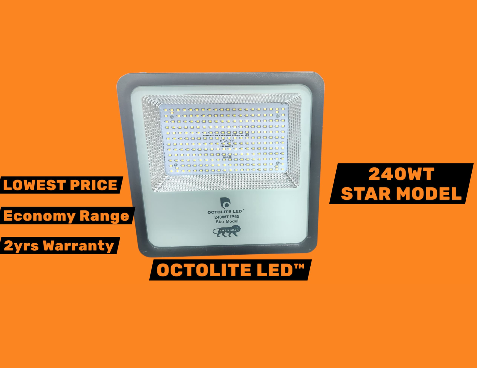 OCTOLITE LED™ - 240WT Star Model Flood Light