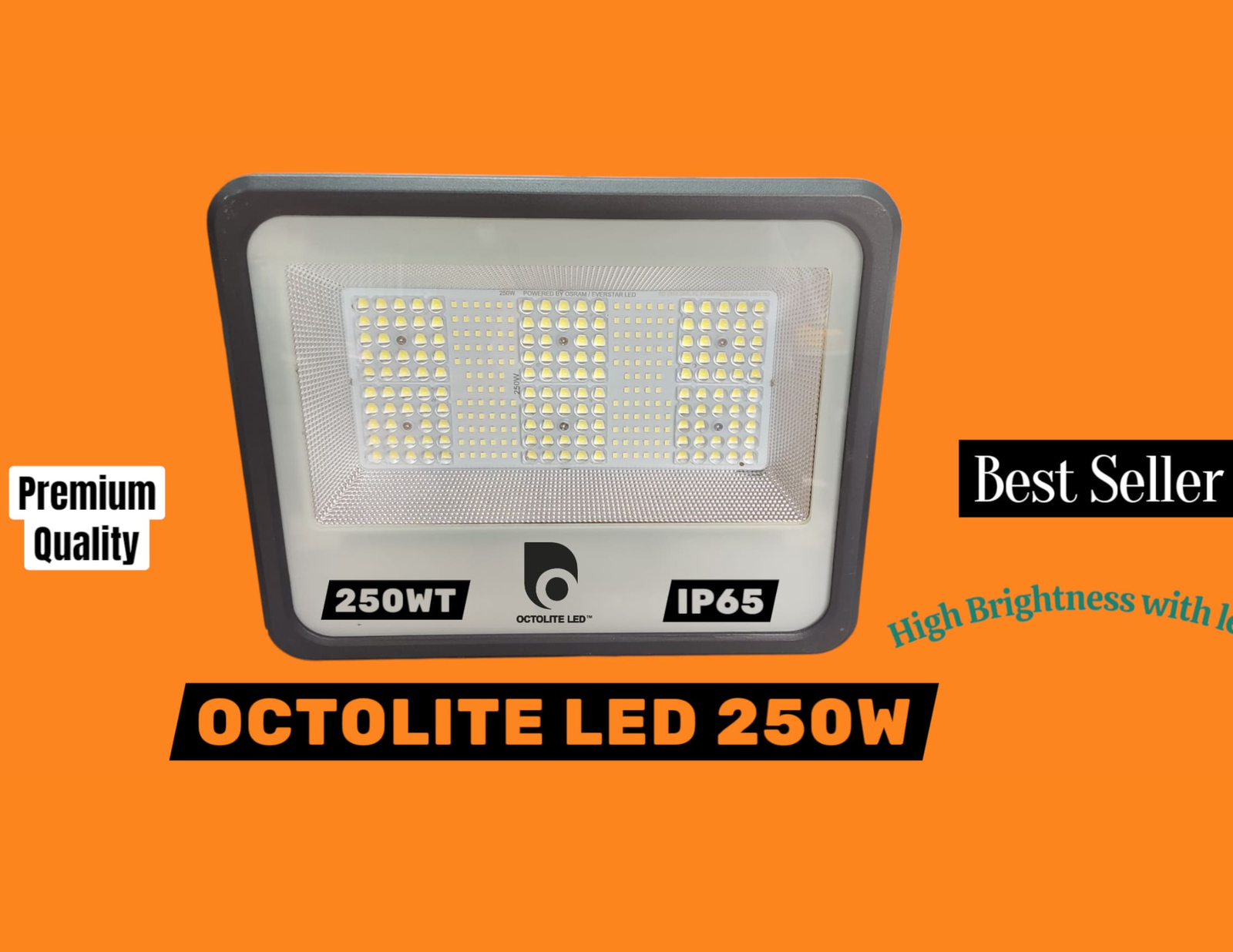 Octolite LED™ 250WT Flood Light
