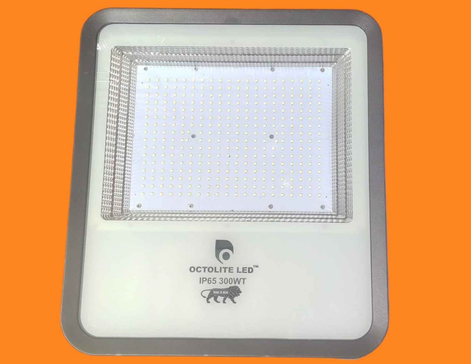Octolite LED™ – 300WT Flood Light (IP65)
